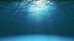 User Profile: SunnyOcean5904