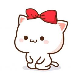 User Profile: PalmPeach99