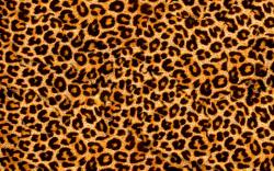 User Profile: Leopardgirl