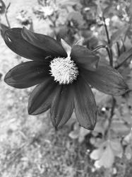 Profile: ashwarya
