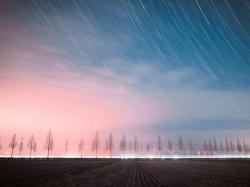 User Profile: Starlight82