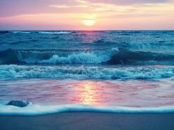 User Profile: JoyfulOcean