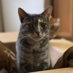 Profile: Thanhx4