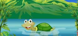 User Profile: TurtleRiver