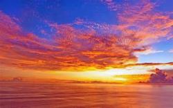 User Profile: delicateSunset67