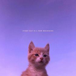 User Profile: positivecat1807