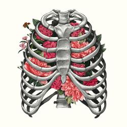 User Profile: AyWanderer