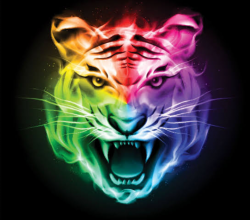 User Profile: YourTigerFriend