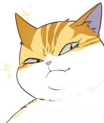User Profile: ZendagiMigzaraaa