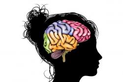 User Profile: KPsych