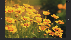 User Profile: generousFlower5483