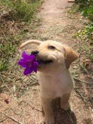 User Profile: happysunshine2508