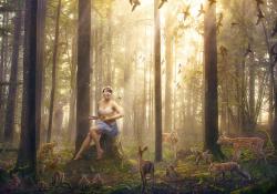 User Profile: dreamForest2571