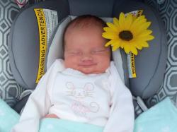 User Profile: SarahSiddons