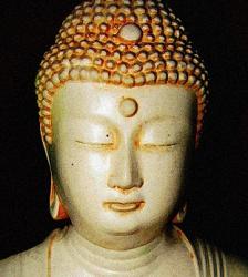 User Profile: Findpeaceinlife365