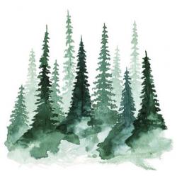 User Profile: AylaRN