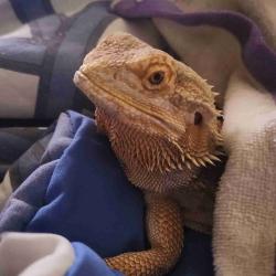 User Profile: ChrystalRae