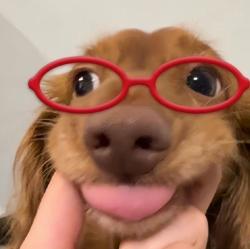User Profile: Sasha0ll