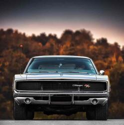 User Profile: conscientiousWheel7595