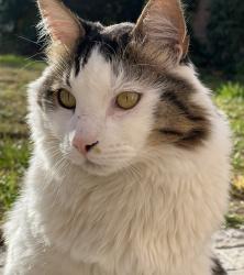 User Profile: AgusBan
