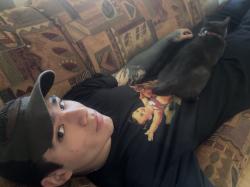 User Profile: emiliolumb