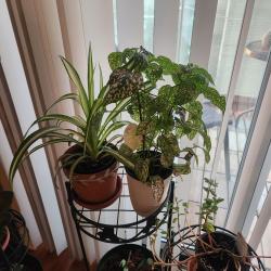User Profile: emotionalAcres4565
