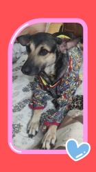 User Profile: Punna23