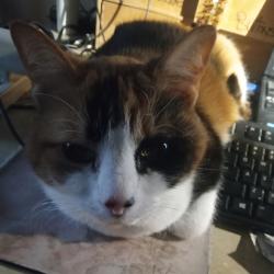 User Profile: greenEyes9944