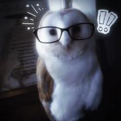 User Profile: affectionateOwl4692