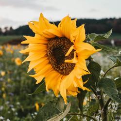 User Profile: butterflyauddie16