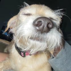 PeriwinkleTinkerbell profile picture