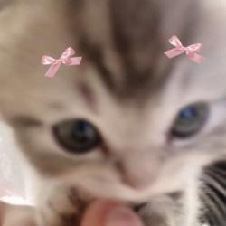 User Profile: sheuebdhixiene