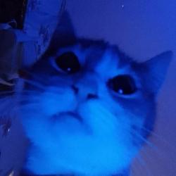 User Profile: MishmashMaru