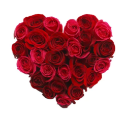 User Profile: myredroses