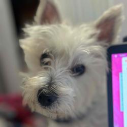 User Profile: woahwoahwhitney