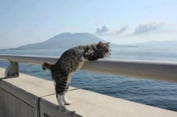 User Profile: Kitz82