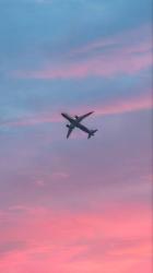 User Profile: optimisticSkies5148