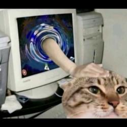 User Profile: CatsAreLovely27