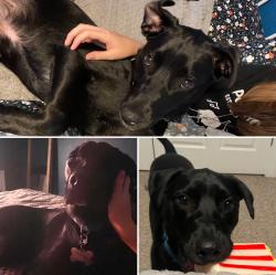 DaisyDovee profile picture