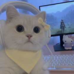 User Profile: Liya1