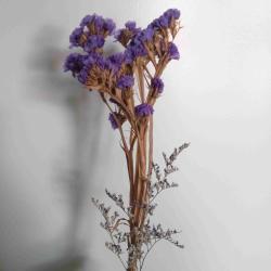 User Profile: flowersandmeadows