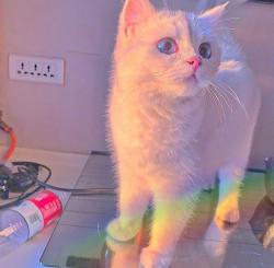 User Profile: pinkydoinky