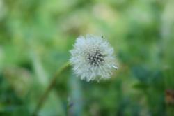 User Profile: TealPhotog