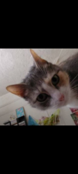 User Profile: kittymariaangel