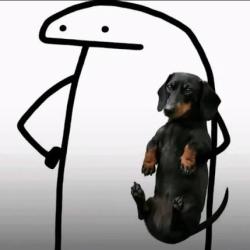 LullabyRainbow profile picture