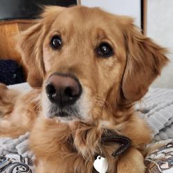 User Profile: Chellebugcaregiver