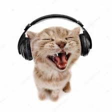 User Profile: zaraluvzcats