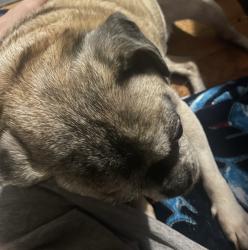 User Profile: oliveAvocado1123