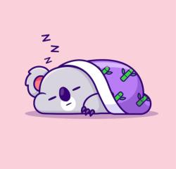 User Profile: sleepyStarlet23