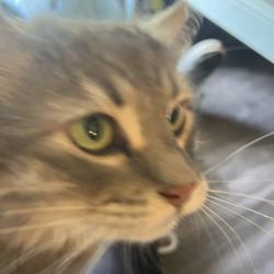 independentPear6511 profile picture